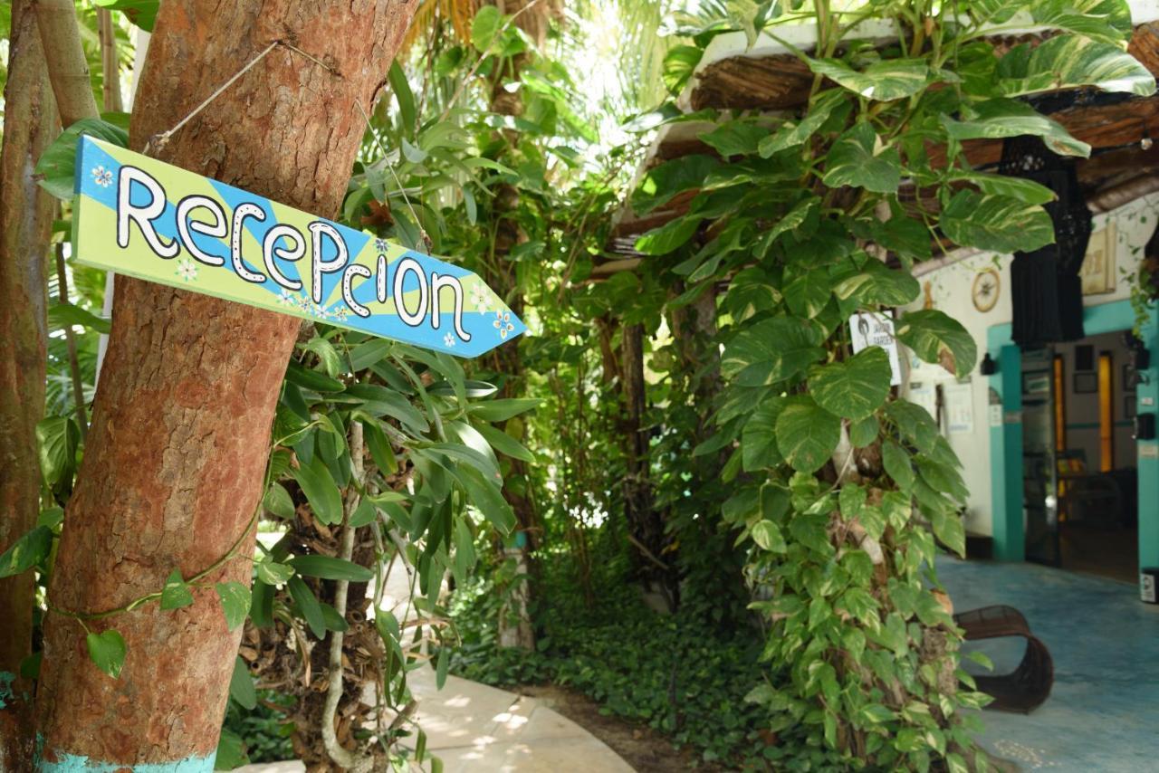 Hotel Villas Tiburon Ilha Holbox Exterior foto